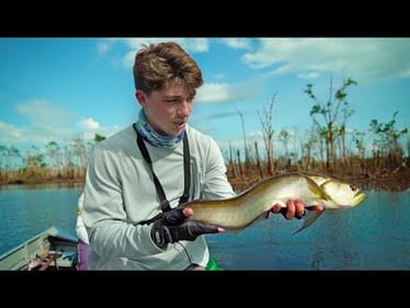 Wild Dolphin Stole My Fish! -- (Beyond The Jungle Pt. 1)