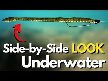 The BEST Texas Rig Worm Tip I Know (Underwater Side-by-Side)