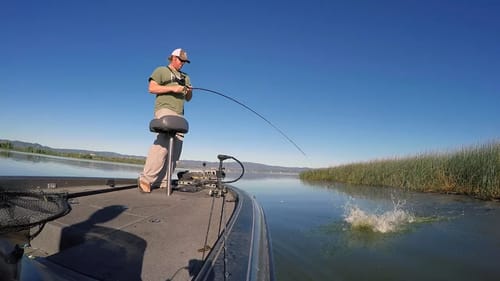 The Best Summer Grass Fishing Trick You've Never Tried!