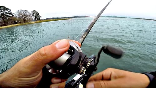 I CAN'T BELIEVE where these FAT Pre-Spawn Bass Live!!