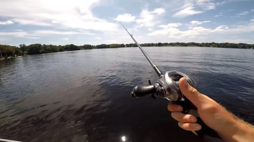 Summer Bass Grind