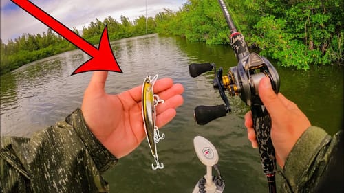 Bass Fishing Lure Catches a Ridiculous Amount of Saltwater Fish!
