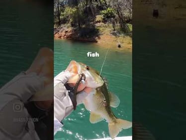 This Weedless #ShakeyHead goes 4x4. Tire tread on the bottom for a reason. #bassunion #bassunionjigs