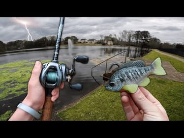 THUNDERSTORM Pond Hopping For SPAWNING BASS! (Bed fishing)