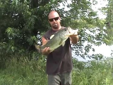 4 1/2 lb Bass on Rage Toad