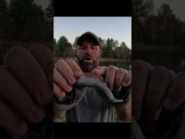 SNEAKY Swimbait HACK You DON'T KNOW #shorts #fishingequipment #tackle #hack #tipsandtricks