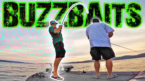 BIG Topwater Blowups Bass Fishing BUZZBAITS On Lake Guntersville!