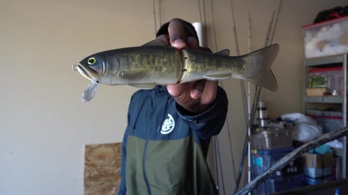 How To Turn A Deps 250 Silent Killer To A Deps 250 Slide Swimmer!