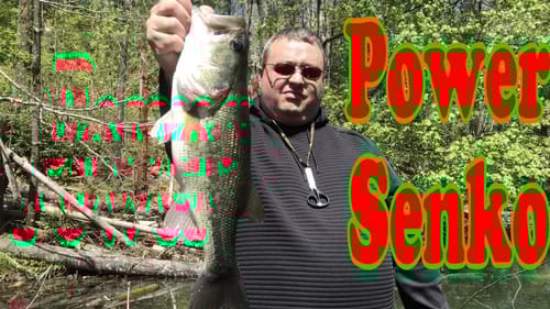 Power Fishing a Senko