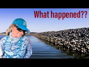 I BROKE DOWN (Kentucky Lake Day 2 fishing the bass open)