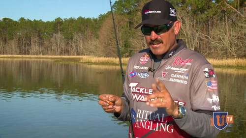 Lipless Crankbaits Catch Bass EVERYWHERE...ALL YEAR!