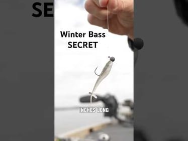 Catch More Winter Bass! (Pro Tips)