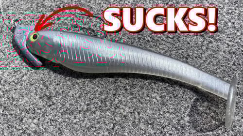 Your SWIMBAIT HEAD Is COSTING You FISH and MONEY