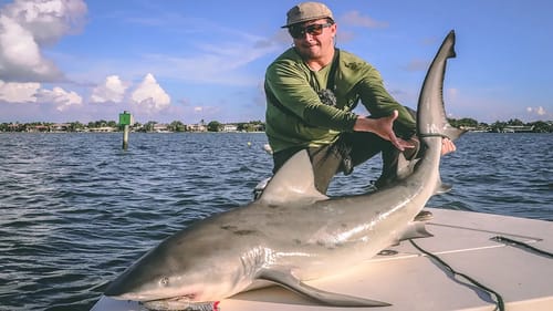 Huge Shark Crushes Giant Topwater Inshore || Monster Hunter I