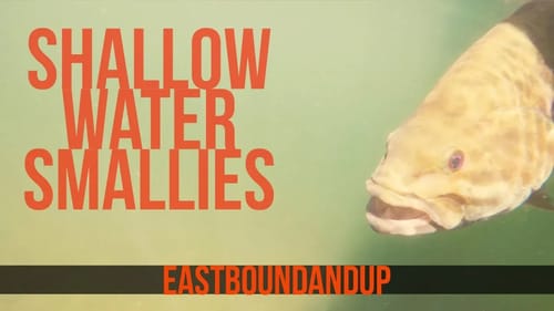 Shallow Water Smallmouth Bass Fishing