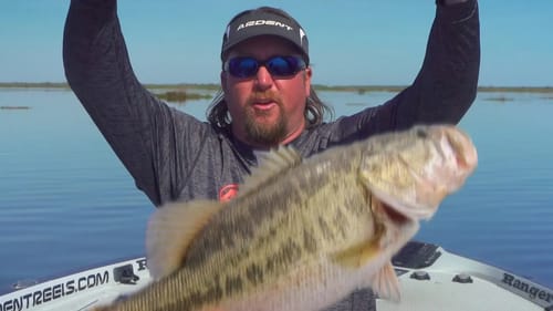 Spring Sight Fishing Secrets for Big Bass