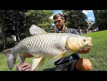 We CAUGHT the CITY POND MONSTER!! (CRYSTAL CLEAR WATER)