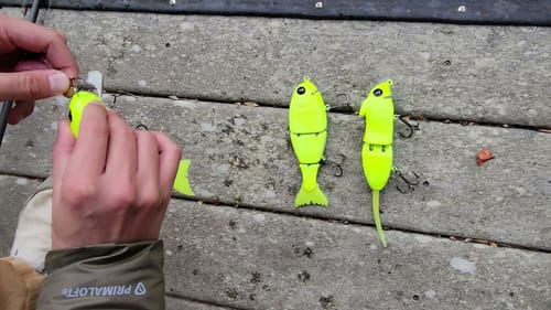 Swimbait Review: LFOD Gill, Slim, and Munk