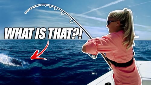 Hilary Goes HALFWAY to MEXICO to Catch This!