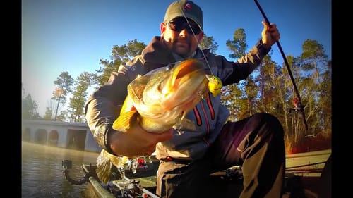 Squarebill Fishing 101 - Crankbait Bass Fishing During the Spawn