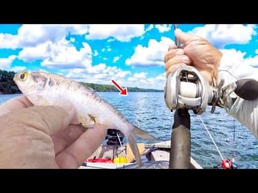 Let Me Show You An Easy Way To Catch Catfish In A River
