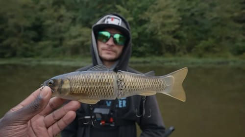 I Showed Him The True Power Of Big Glide Baits Without Using Live Scope! Ft. @SBFishing