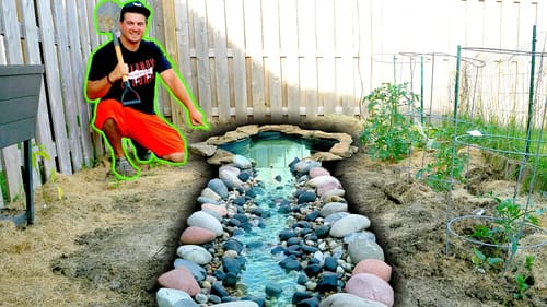 Building a Backyard Creek for NEW PET FISH!!!