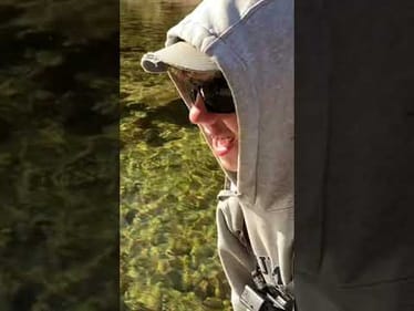 Crystal clear mountain creek is loaded W/ trout (fly fishing NC) #shorts