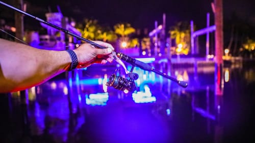 Crushing Fish Off Dock Lights in the Dark with Artificial Shrimp