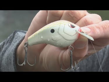 March Must-Have Baits for Big Bass with Russ Lane! | Bass Fishing