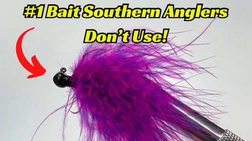 Nobody Uses This And It’s The Ultimate Cold Water Bait!