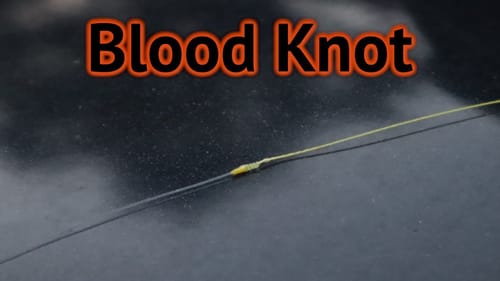 The Leader Knot Nobody Is Talking About (Strong & Easy)