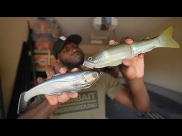 When You Should Throw A Hard Bait Or A Soft Bait!