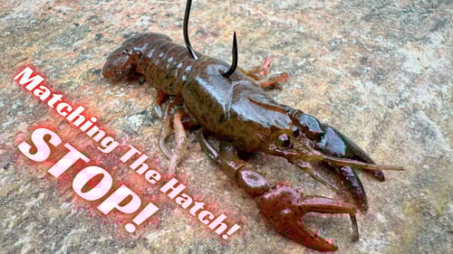 STOP Matching The Hatch! It’s Not That Important… Or Is It?