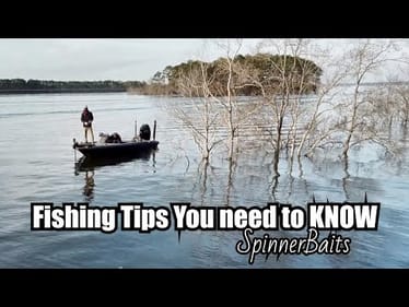 What You Need To Know About SpinnerBait - How To - B-Lat