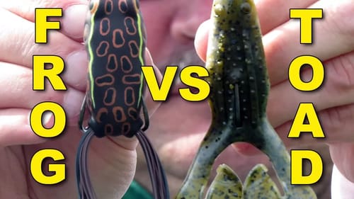 Frogs vs. Toads: When To Use Each | Bass Fishing