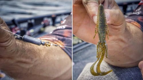 How to Rig and Fish the Carolina Rig