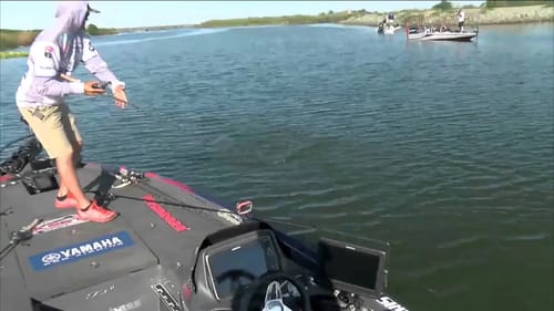 Chris Zaldain has 3 BASS Live www.bassmaster.com