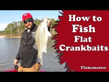 Fishing Flat Sided Squarebill Crankbaits