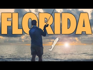 4 Days Chasing Saltwater Giants During A Bait Migration