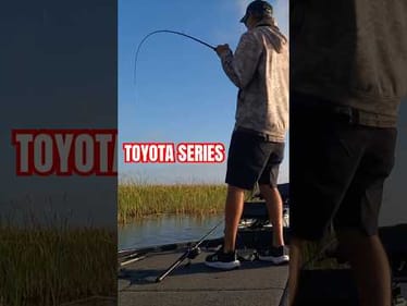 Got bite right at the boat! Chatterbait Fishing Okeechobee #shorts #bassfishing #boatfliponly