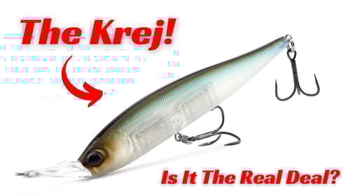 The New Berkley Krej! Is It The Real Deal?
