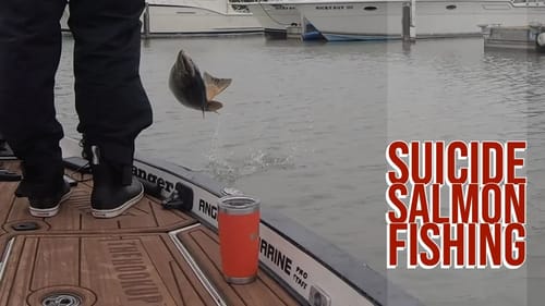 Great Lakes Salmon Fishing with Garmin Panoptics Livescope
