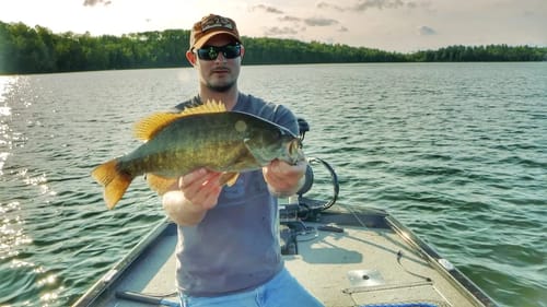 How to Drop Shot Bass in Transition Zones