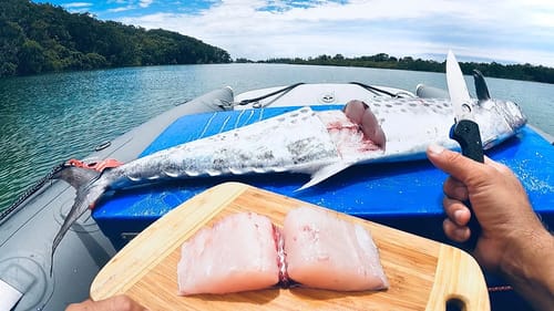 The Freshest Ocean To Mangrove Catch & Cook Ever!
