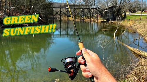 Fishing a Roadside Mill Creek is AWESOME!!