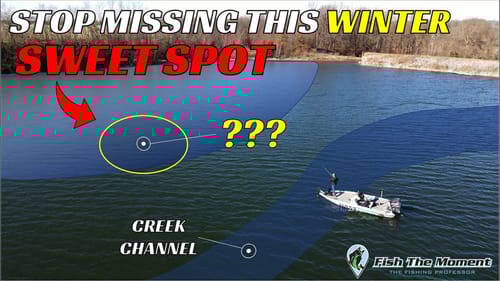 The BEST Way to Catch Big Winter Bass