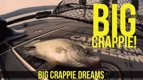 Sight Fishing for Black Crappie w Rick Hattaway Northern California Part 2