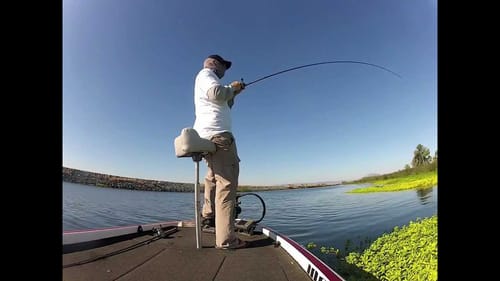 Punching and Frogging the CA Delta