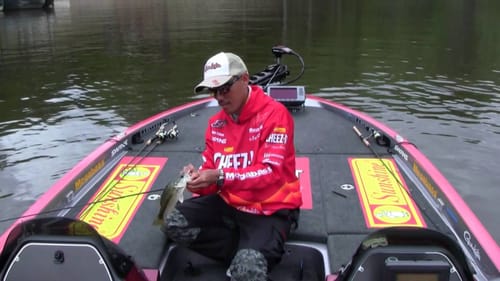 Why to Use Swivel Shot with Drop Shot Rigs